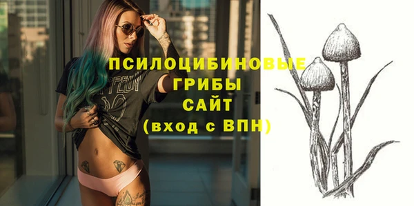 твердый Абинск