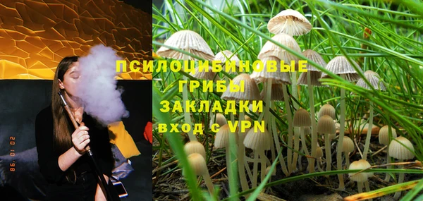 прущая мука Алзамай