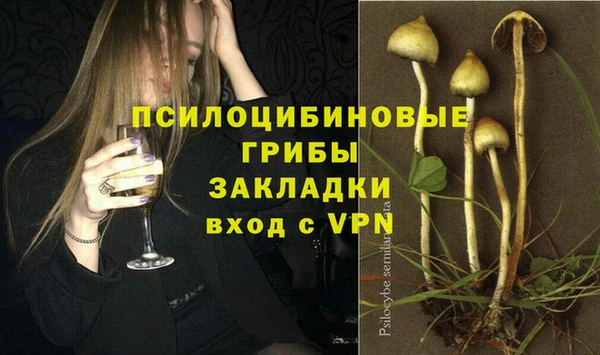 твердый Абинск