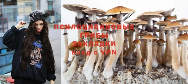 твердый Абинск