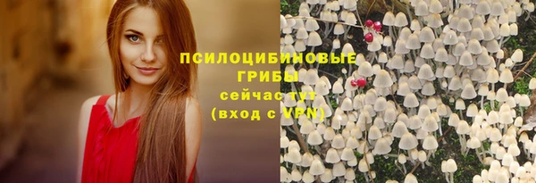 тгк Абаза