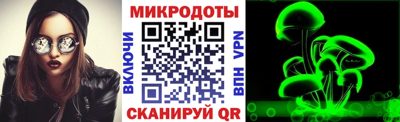 Псилоцибиновые грибы мицелий  kraken ONION  Пучеж  закладка 